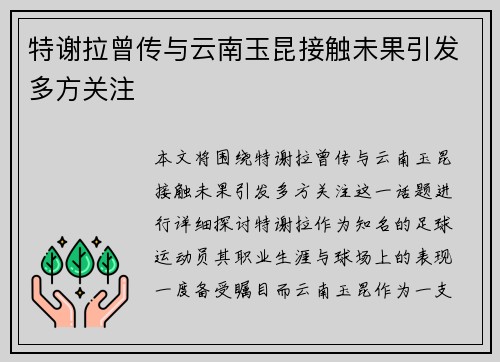 特谢拉曾传与云南玉昆接触未果引发多方关注
